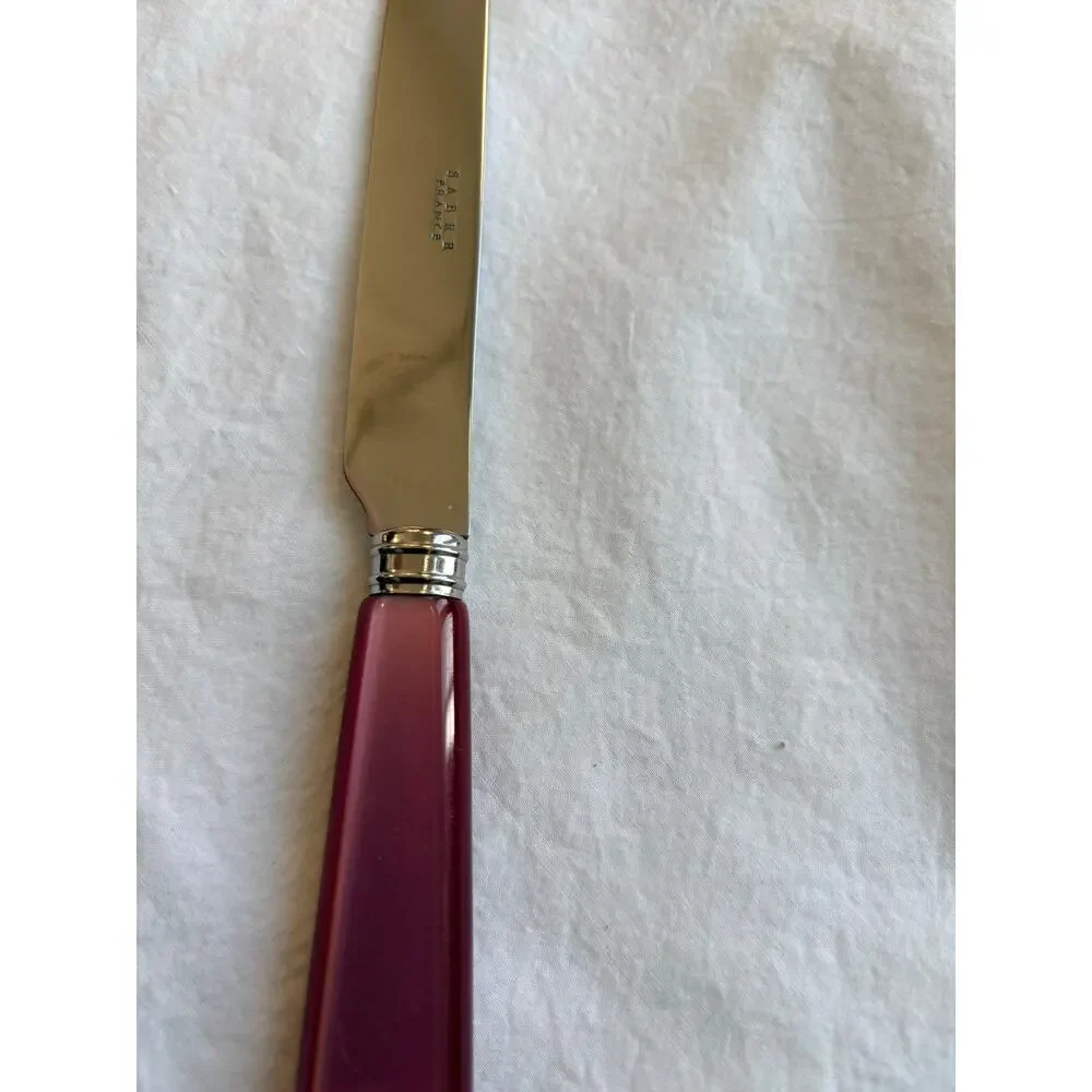 NEW Sabre Paris Icône Aubergine Purple Dinner Knife 18/10 Stainless Acrylic